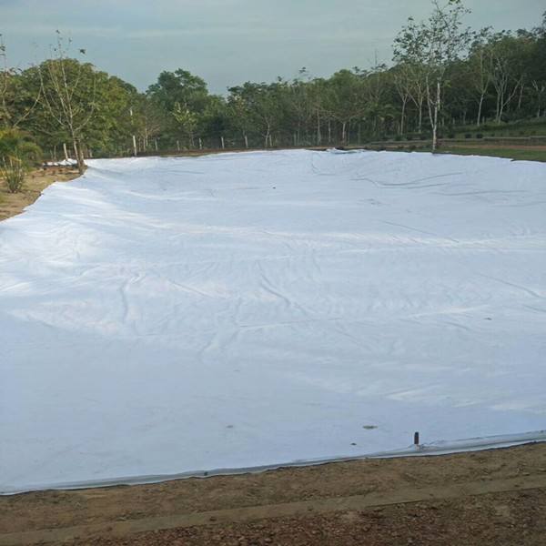 公路养护 沥青道路专用土工布